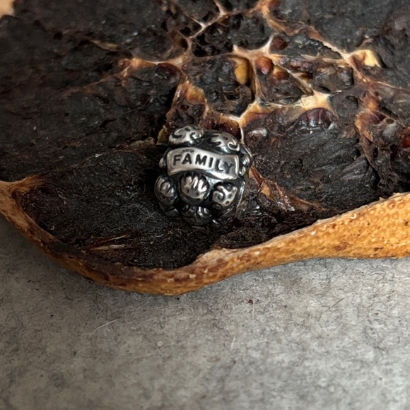 PANDORA Love & Family Charm Authentic Sterling Silver Smiling Faces Engraved - Picture 2 of 14